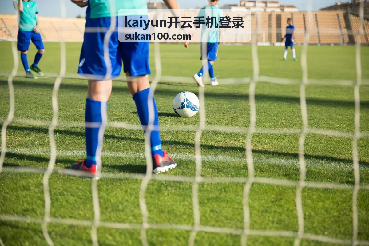 kaiyun开云手机登录入口位置示意