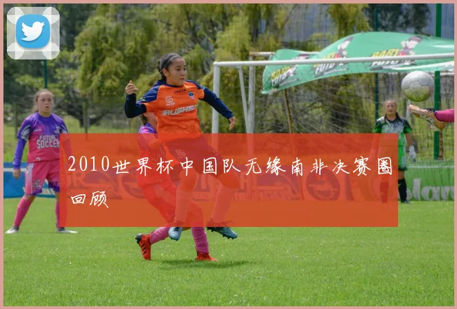 2010世界杯中国队无缘南非决赛圈回顾