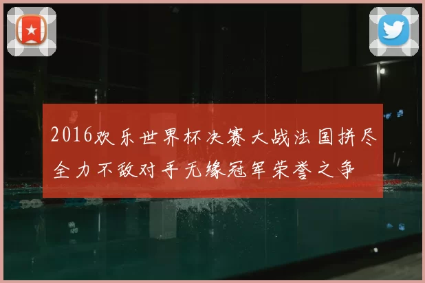 2016欢乐世界杯决赛大战法国拼尽全力不敌对手无缘冠军荣誉之争