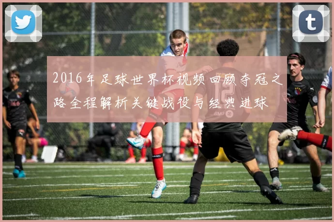 2016年足球世界杯视频回顾夺冠之路全程解析关键战役与经典进球