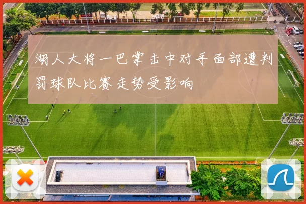 湖人大将一巴掌击中对手面部遭判罚球队比赛走势受影响