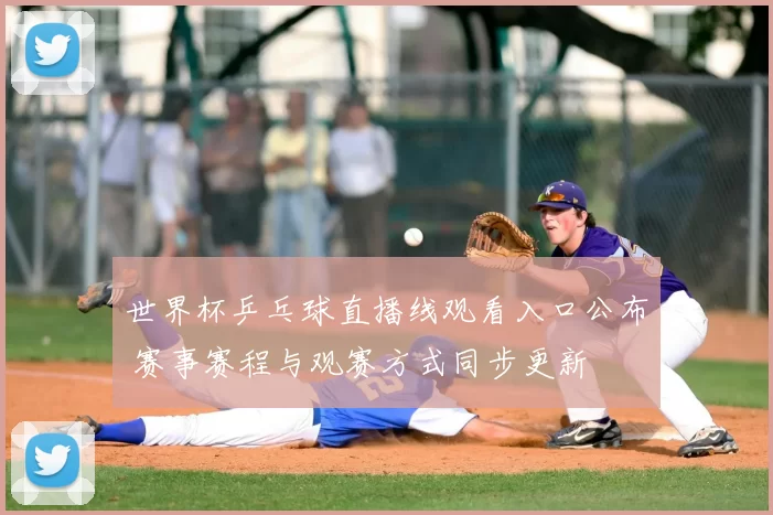 世界杯乒乓球直播线观看入口公布 赛事赛程与观赛方式同步更新