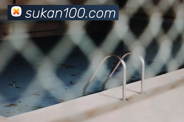 华会体育平台生态图